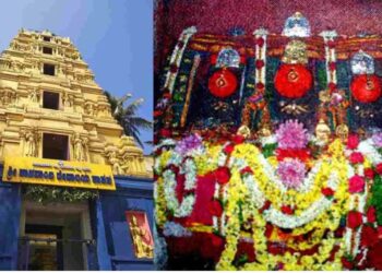 ಐತಿಹಾಸಿಕ ಪ್ರಸಿದ್ಧ ಹಾಸನಾಂಬೆ ದೇವಿ ಗರ್ಭಗುಡಿ ಓಪನ್ : ವರ್ಷಕ್ಕೊಮ್ಮೆ ದರ್ಶನ ಕರುಣಿಸೋ ತಾಯಿ ; ಇಂದಿನಿಂದ ಶ್ರೀದೇವಿಯ ದರ್ಶನ ಭಾಗ್ಯ
