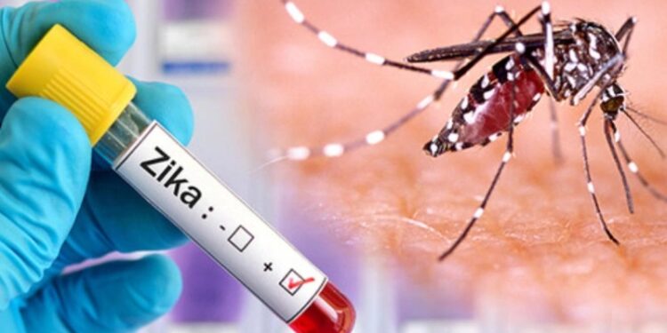 ಕರ್ನಾಟಕದಲ್ಲಿ ಮತ್ತೊಂದು ವೈರಸ್ ಕಂಟಕವಾಗುವ ಆತಂಕ : ಸರ್ಕಾರದಿಂದ ಗೈಡ್​ಲೈನ್ಸ್ ಪ್ರಕಟ..!!!