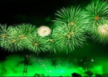 ದ.ಕ. : ಹಸಿರು ಪಟಾಕಿ ಬಳಸಲು ಜಿಲ್ಲಾಧಿಕಾರಿ ಸೂಚನೆ