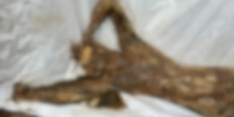 ಬಂಟ್ವಾಳ : ಎ.ಎಂ‌ಆರ್. ಡ್ಯಾಂ ಬಳಿ ಅಪರಿಚಿತ ಶವ ಪತ್ತೆ..!!!