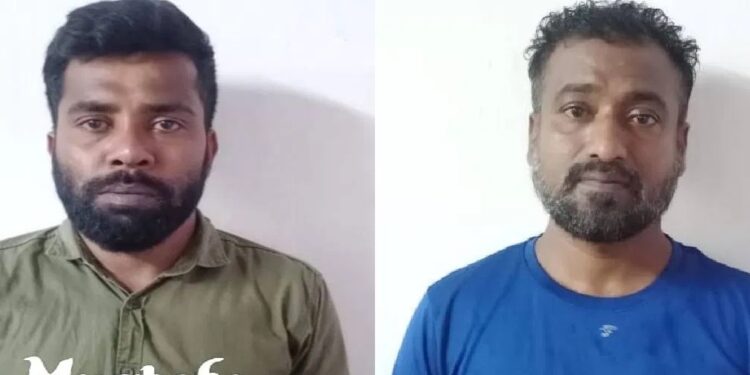 ಮಂಗಳೂರು : ಡ್ರಗ್ಸ್ ಸಾಗಿಸುತ್ತಿದ್ದ ಇಬ್ಬರನ್ನು ಬಂಧಿಸಿದ ಸಿಸಿಬಿ