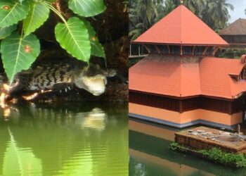 ಅನಂತಪುರ ಅನಂತಪದ್ಮನಾಭಸ್ವಾಮಿ ದೇವಸ್ಥಾನದಲ್ಲಿ ಹೊಸ ಮೊಸಳೆ ಪ್ರತ್ಯಕ್ಷ..!!