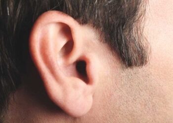 ಕೋಪದಲ್ಲಿ ಗಂಡನ ಕಿವಿ ಕಚ್ಚಿ ತುಂಡರಿಸಿದ ಪತ್ನಿ : ಹೆಂಡತಿ ವಿರುದ್ಧ ಕೇಸ್​ ದಾಖಲಿಸಿದ ಪತಿರಾಯ..!!!