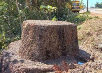 ಮಂಗಳೂರು : 500 ವರ್ಷ ಇತಿಹಾಸವಿರುವ ಅಪರೂಪದ ಕಲ್ಲು ಪತ್ತೆ