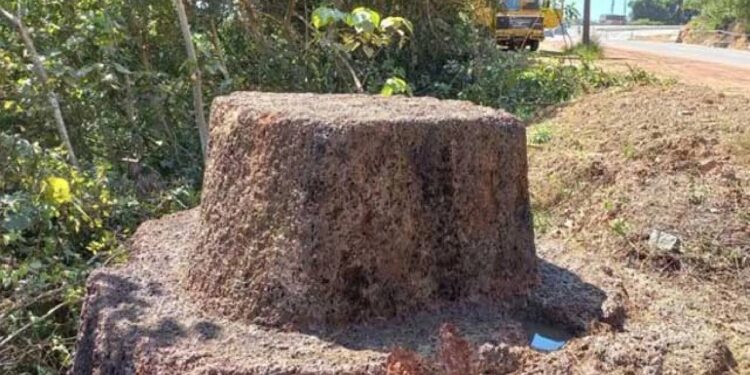 ಮಂಗಳೂರು : 500 ವರ್ಷ ಇತಿಹಾಸವಿರುವ ಅಪರೂಪದ ಕಲ್ಲು ಪತ್ತೆ