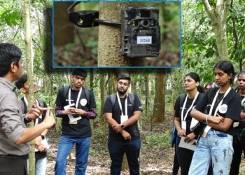 ಇನ್ಮುಂದೆ ಅರಣ್ಯದಲ್ಲಿ ಕಳ್ಳತನ ಮಾಡುವವರ ಆಟ ನಡೆಯಲ್ಲ : ಸಾಲು, ಸಾಲು ಸಮಸ್ಯೆಗೆ ಕ್ಯಾಮರಾ ಟ್ರ್ಯಾಪಿಂಗ್​ನಿಂದ ಫುಲ್​​ಸ್ಟಾಪ್​..!!