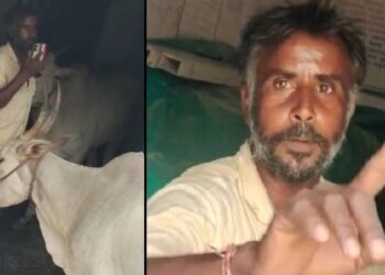ಕೊಟ್ಟಿಗೆ ಕಟ್ಟಲು ಲೋನ್​ ಕೊಡದೆ ಸತಾಯಿಸುತ್ತಿದ್ದ ಪಿಡಿಒ : ಪಂಚಾಯತಿ ಒಳಗೆ ದನ ಕಟ್ಟಿ ಹಾಕಿ ಪ್ರತಿಭಟಿಸಿದ ರೈತ