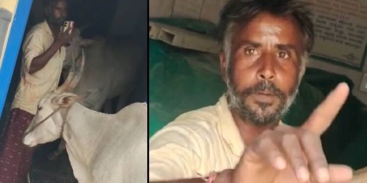 ಕೊಟ್ಟಿಗೆ ಕಟ್ಟಲು ಲೋನ್​ ಕೊಡದೆ ಸತಾಯಿಸುತ್ತಿದ್ದ ಪಿಡಿಒ : ಪಂಚಾಯತಿ ಒಳಗೆ ದನ ಕಟ್ಟಿ ಹಾಕಿ ಪ್ರತಿಭಟಿಸಿದ ರೈತ