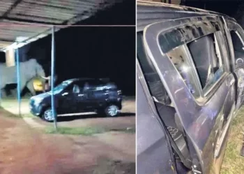 ನೆರಿಯದಲ್ಲಿ ಕಾರಿನ ಮೇಲೆ ಕಾಡಾನೆ ದಾಳಿ : ಕಾರು ಜಖಂ