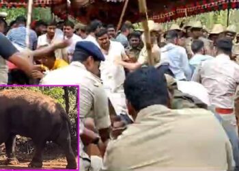 ಅರ್ಜುನನ್ನು ಮೈಸೂರಿಗೆ ಶಿಫ್ಟ್ ಮಾಡಲು ಪಟ್ಟು ; ಅಂತ್ಯಕ್ರಿಯೆಗೆ ಭಾರೀ ವಿರೋಧ ; ಲಘು ಲಾಠಿಚಾರ್ಜ್‌!