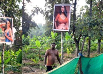 ರೈತನ ತೋಟ ಕಾಯುತ್ತಿದ್ದಾರೆ ಸಿನಿಮಾ ನಟಿಯರು : ಹೊಸ ಪ್ರಯೋಗಕ್ಕೆ ಅಚ್ಚರಿಗೊಂಡ ದಾರಿಹೋಕರು