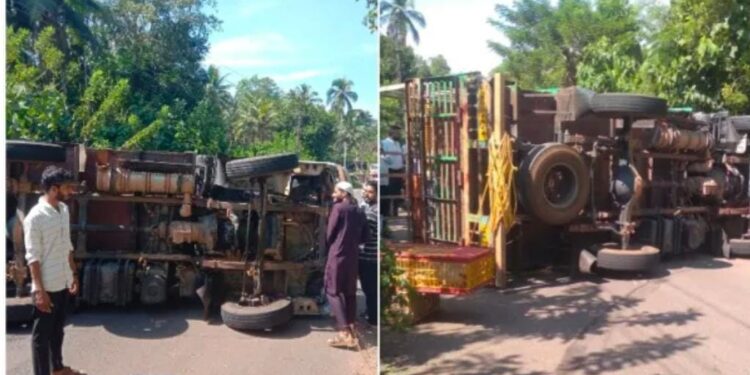 ವಿಟ್ಲ : ಚಾಲಕನ ನಿಯಂತ್ರಣ ತಪ್ಪಿ ಕೋಳಿ ಸಾಗಾಟದ ಲಾರಿ ಪಲ್ಟಿ..!!!