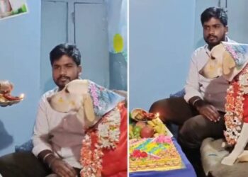 ರೂಬಿಗೆ ನಡೆಯಿತು ಸೀಮಂತ : ಪ್ರೀತಿಯಿಂದ ಹಾರೈಸಿದ ಮನೆ ಮಂದಿ..!