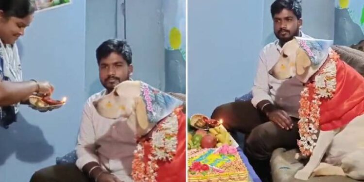 ರೂಬಿಗೆ ನಡೆಯಿತು ಸೀಮಂತ : ಪ್ರೀತಿಯಿಂದ ಹಾರೈಸಿದ ಮನೆ ಮಂದಿ..!