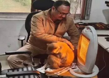 ಭಯಂಕರ ಚಳಿ ಮಾರ್ರೇ..: ಠಾಣೆಗೆ ಬಂದು ಹೀಟರ್​ ಮುಂದೆ ಕೂತ ಕೋತಿ ; ವೀಡಿಯೋ ವೈರಲ್