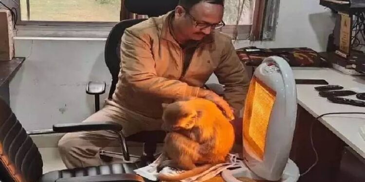 ಭಯಂಕರ ಚಳಿ ಮಾರ್ರೇ..: ಠಾಣೆಗೆ ಬಂದು ಹೀಟರ್​ ಮುಂದೆ ಕೂತ ಕೋತಿ ; ವೀಡಿಯೋ ವೈರಲ್