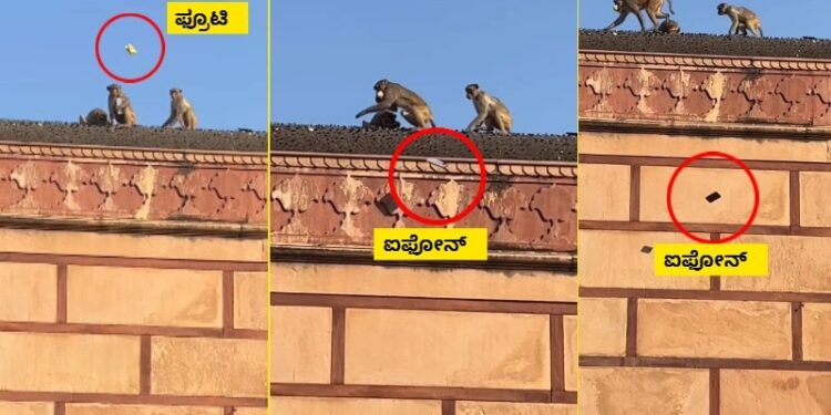 ಫ್ರೂಟಿ ಜ್ಯೂಸ್​ಗಾಗಿ ಐಫೋನ್ ಡೀಲ್​ ಮಾಡಿದ ಮಂಗಣ್ಣ : ದೇವರ ದರ್ಶನಕ್ಕೆ ಬಂದಿದ್ದ ಭಕ್ತನಿಗೆ ಕಿಟಲೇ ಕೊಟ್ಟ ಕೋತಿ