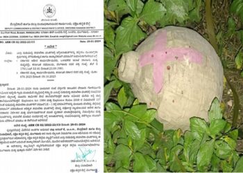 ‘ದ.ಕ. ಜಿಲ್ಲೆಯ ಸುಡುಮದ್ದು ತಯಾರಿಕಾ ಘಟಕಗಳ ಪರವಾನಿಗೆ ತಾತ್ಕಾಲಿಕ ಅಮಾನತು’..!