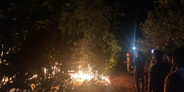 ಬಜತ್ತೂರು : ಅರಣ್ಯದಲ್ಲಿ ಅಗ್ನಿ ಅವಘಡ..!