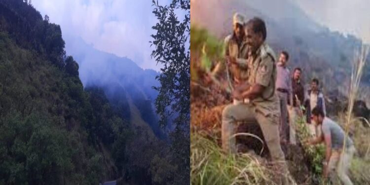 ಚಾರ್ಮಾಡಿ ಅರಣ್ಯದಲ್ಲಿ ಟ್ರಕ್ಕಿಂಗ್​ಗೆ ಹೋದ ಯುವಕರು ನಾಪತ್ತೆ : ಪೊಲೀಸರಿಂದ ಹುಡುಕಾಟ