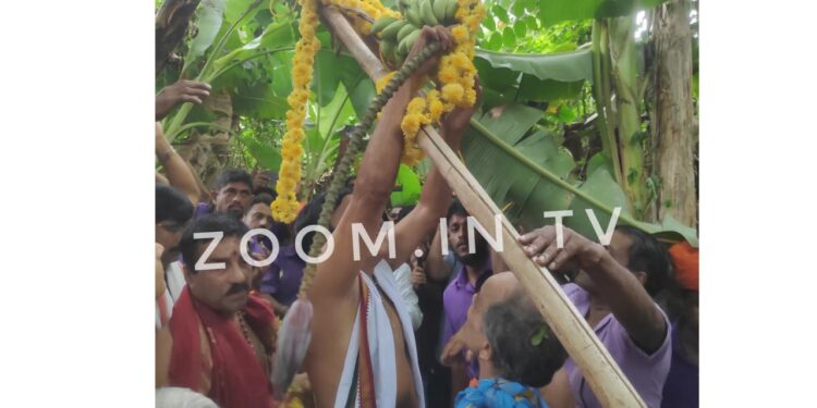 ಹತ್ತೂರ ಒಡೆಯನ ಜಾತ್ರಾಮಹೋತ್ಸವಕ್ಕೆ ಗೊನೆ ಮುಹೂರ್ತ