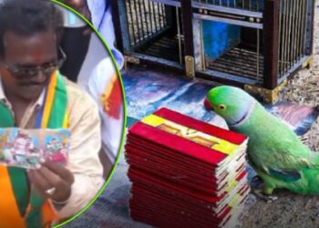 ಚುನಾವಣೆಯಲ್ಲಿ ಯಾರ್‌ ಗೆಲ್ತಾರೆ : ಭವಿಷ್ಯ ಹೇಳಿದ ಗಿಳಿ ಮಾಲಕ ಅರೆಸ್ಟ್..!