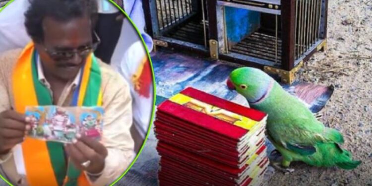 ಚುನಾವಣೆಯಲ್ಲಿ ಯಾರ್‌ ಗೆಲ್ತಾರೆ : ಭವಿಷ್ಯ ಹೇಳಿದ ಗಿಳಿ ಮಾಲಕ ಅರೆಸ್ಟ್..!