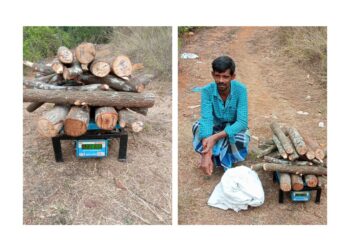 ಅರಣ್ಯ ಸಂಚಾರಿದಳದ ಎಸ್.ಐ.‌ ಜಾನಕಿ ನೇತೃತ್ವದಲ್ಲಿ ಕಾರ್ಯಾಚರಣೆ : ಶ್ರೀಗಂಧ ವಶದಲ್ಲಿಟ್ಟುಕೊಂಡಿದ್ದ ವ್ಯಕ್ತಿಯ ಬಂಧನ