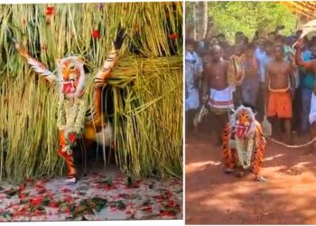 ಇತಿಹಾಸ ಪ್ರಸಿದ್ಧ ಕಾಪು ಪಿಲಿಕೋಲ : ತುಳುನಾಡಿನ ವಿಶಿಷ್ಟ ಜಾನಪದ ಆಚರಣೆ