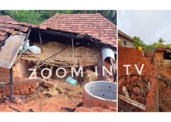 ಪುತ್ತೂರು : ಬರೆ ಕುಸಿದು ಕೊಟ್ಟಿಗೆಗೆ ಹಾನಿ : ಕರು ಮೃತ್ಯು!