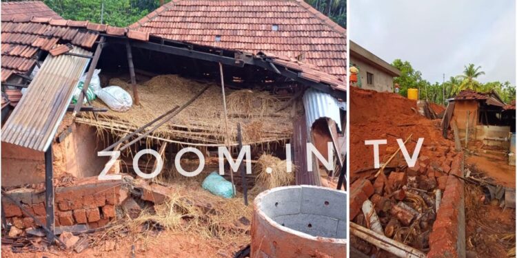 ಪುತ್ತೂರು : ಬರೆ ಕುಸಿದು ಕೊಟ್ಟಿಗೆಗೆ ಹಾನಿ : ಕರು ಮೃತ್ಯು!