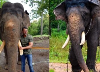 ‘ಅರ್ಜುನನ ಸಮಾಧಿಗೆ ಯಾರು ದಿಕ್ಕು-ದೆಸೆ ಇಲ್ಲದಂತೆ ಭಾಸವಾಗುತ್ತಿದೆ’ : ನಟ ದರ್ಶನ್ ಬೇಸರ