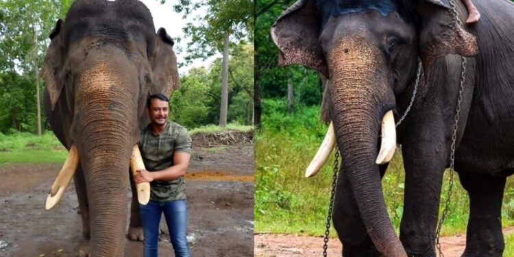 ‘ಅರ್ಜುನನ ಸಮಾಧಿಗೆ ಯಾರು ದಿಕ್ಕು-ದೆಸೆ ಇಲ್ಲದಂತೆ ಭಾಸವಾಗುತ್ತಿದೆ’ : ನಟ ದರ್ಶನ್ ಬೇಸರ