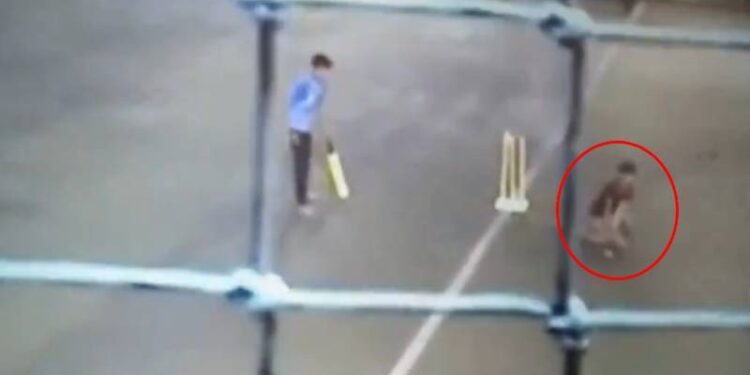 ಖಾಸಗಿ ಅಂಗಕ್ಕೆ ಬಿದ್ದ ಬಾಲ್‌ : ಕ್ರಿಕೆಟ್ ಆಡುತ್ತಿದ್ದ ಬಾಲಕ ಮೃತ್ಯು