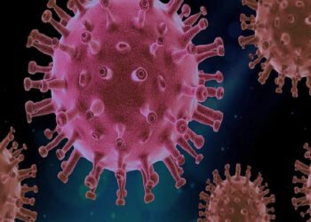 ಕೇರಳ : 2 ವಾರದಲ್ಲಿ 2 ಲಕ್ಷ ಮಂದಿಗೆ ಸಾಂಕ್ರಾಮಿಕ ರೋಗ : 10 ಮಂದಿ ಸಾವು