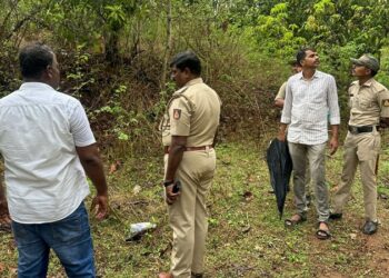 ರೆಸಾರ್ಟ್​ನಲ್ಲಿ ಜಿಪ್​ಲೈನ್​​​ ಆಡಲು ಹೋಗಿ ಮಹಿಳೆ ಸಾವು : ಜೀವಕ್ಕೆ ಕುತ್ತು ತಂದ ಆಟ