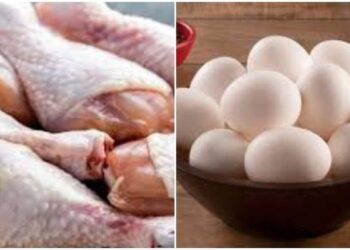 ಮಾಂಸಪ್ರಿಯರಿಗೆ‌ ಶಾಕ್ : ಚಿಕನ್, ಮಟನ್, ಮೊಟ್ಟೆಗಳ‌ ಬೆಲೆ‌ ಏರಿಕೆ‌!