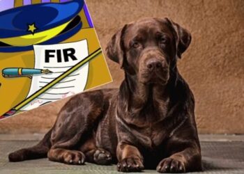 ನ್ಯಾಯಾಧೀಶರ ಮನೆಯ ನಾಯಿ ಕಳವು : 12 ಜನರ ವಿರುದ್ಧ ಕೇಸು ದಾಖಲು