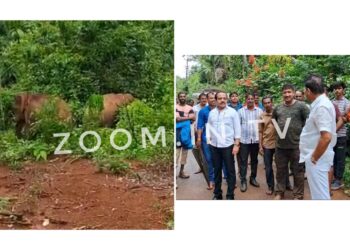 ಬೆಳ್ಳಿಪ್ಪಾಡಿ : ತೋಟದಲ್ಲಿರುವುದು ಒಂದಲ್ಲ ಎರಡು ಆನೆ! ಸ್ಥಳಕ್ಕೆ ಶಾಸಕ ಅಶೋಕ್ ರೈ, ಮಾಜಿ ಶಾಸಕ ಮಠಂದೂರು ಭೇಟಿ