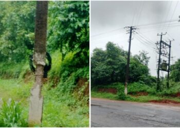 ವಿಟ್ಲ : ಯಾವುದೇ ಕ್ಷಣದಲ್ಲಾದರೂ ಧರೆಗುರುಳಲು ಸಿದ್ಧವಾದ ವಿದ್ಯುತ್ ಕಂಬ!