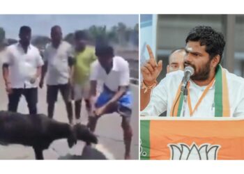 ಅಣ್ಣಾಮಲೈ ಫೋಟೋ ಇಟ್ಟು ಮೇಕೆ ತಲೆ ಕತ್ತರಿಸಿದ ಡಿಎಂಕೆ ಕಾರ್ಯಕರ್ತರು!