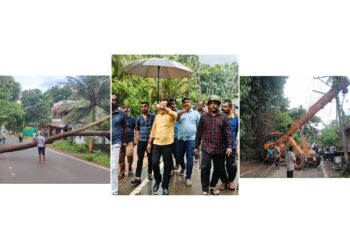 ಬಪ್ಪಳಿಗೆ: ಮರ ಬಿದ್ದು 8 ವಿದ್ಯುತ್ ಕಂಬಗಳಿಗೆ ಹಾನಿ: ಸ್ಥಳಕ್ಕೆ ಶಾಸಕ ಅಶೋಕ್ ರೈ ಭೇಟಿ: ಅಪಾಯಕಾರಿ‌ ಮರಗಳ ತೆರವಿಗೆ ಸೂಚನೆ
