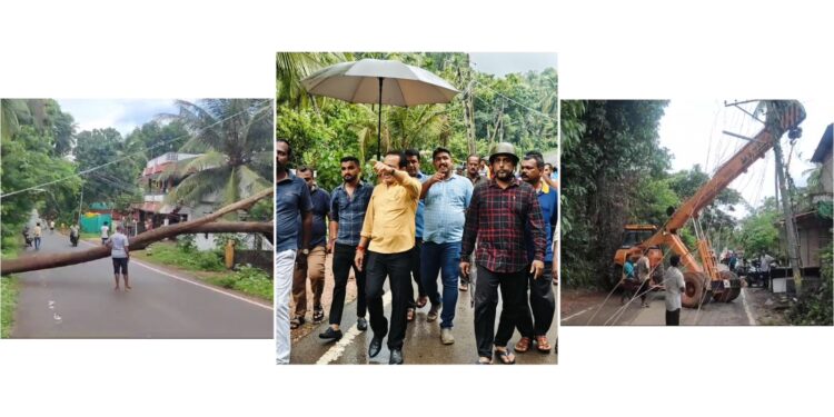 ಬಪ್ಪಳಿಗೆ: ಮರ ಬಿದ್ದು 8 ವಿದ್ಯುತ್ ಕಂಬಗಳಿಗೆ ಹಾನಿ: ಸ್ಥಳಕ್ಕೆ ಶಾಸಕ ಅಶೋಕ್ ರೈ ಭೇಟಿ: ಅಪಾಯಕಾರಿ‌ ಮರಗಳ ತೆರವಿಗೆ ಸೂಚನೆ