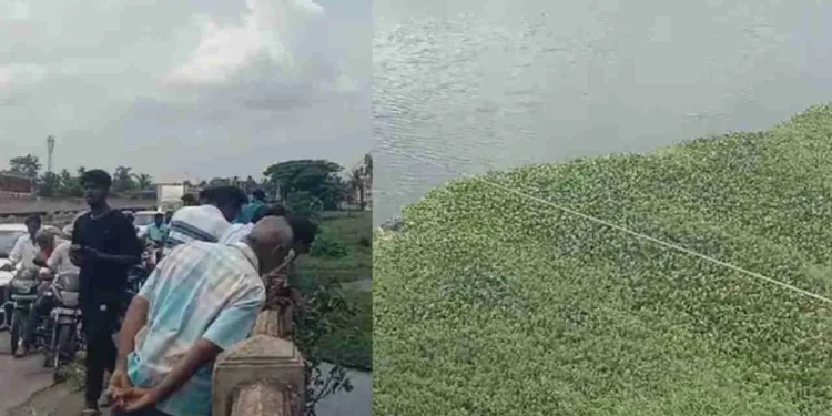 ಕಾವೇರಿ ನದಿಯಲ್ಲಿ ತೇಲಿ ಬಂದ ಮಹಿಳೆ-ಪುರುಷನ ಮೃತದೇಹ: ನೋಡಲು ಮುಗಿಬಿದ್ದ ಜನರು