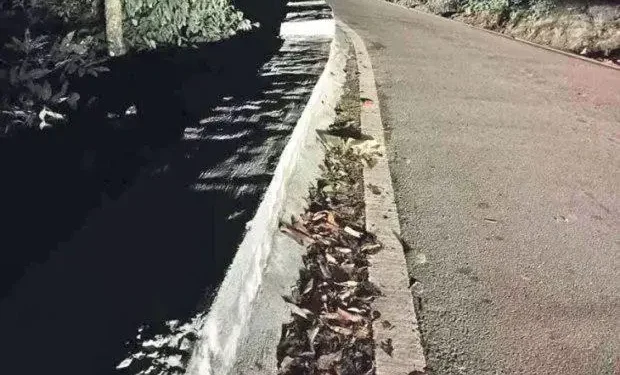 ಆಗುಂಬೆ ಘಾಟಿಯಲ್ಲಿ ಭಾರೀ ವಾಹನ ಸಂಚಾರ ನಿಷೇಧ : ಪರ್ಯಾಯ ಮಾರ್ಗ ಬಳಸುವಂತೆ ಸೂಚನೆ