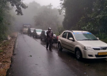 ಚಾರ್ಮಾಡಿ ಘಾಟ್‌ನಲ್ಲಿ ರಸ್ತೆಗುರುಳಿದ ಮರ : ಚಿಕ್ಕಮಗಳೂರು-ಮಂಗಳೂರು ಮಾರ್ಗ ಬಂದ್