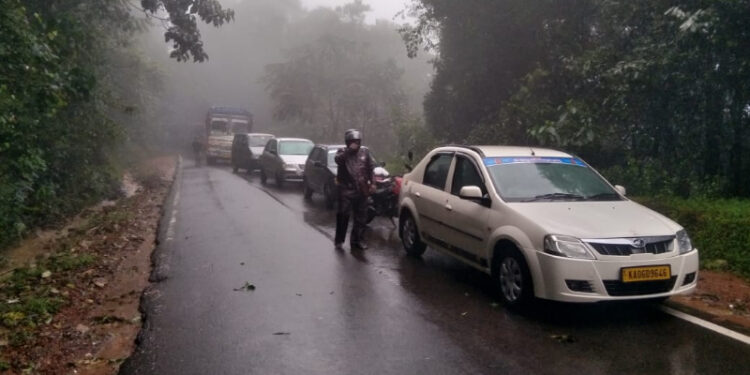 ಚಾರ್ಮಾಡಿ ಘಾಟ್‌ನಲ್ಲಿ ರಸ್ತೆಗುರುಳಿದ ಮರ : ಚಿಕ್ಕಮಗಳೂರು-ಮಂಗಳೂರು ಮಾರ್ಗ ಬಂದ್