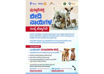 (ಜು.4-9) ಪುತ್ತೂರು : ಮನೆ ನಾಯಿಗಳಿಗೆ ಉಚಿತ ಸಂತಾನ ಹರಣ ಚಿಕಿತ್ಸೆ