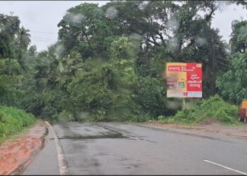 ಪುತ್ತೂರು : ಬೈಪಾಸ್ ರಸ್ತೆಯಲ್ಲಿ ಮರ ಬಿದ್ದು ಸಂಚಾರಕ್ಕೆ ತೊಡಕು!