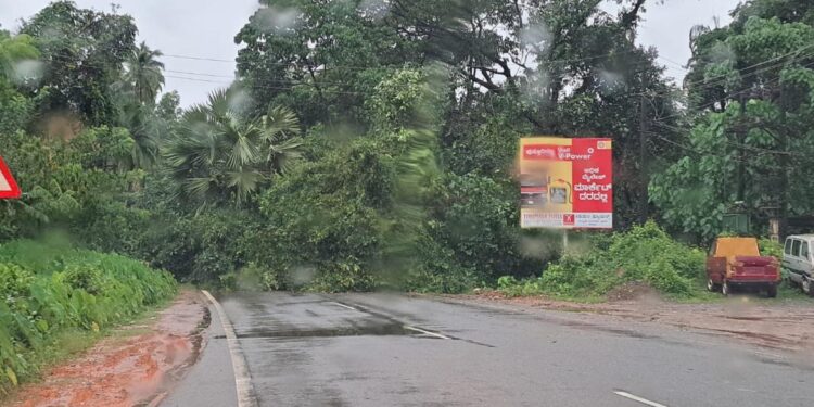 ಪುತ್ತೂರು : ಬೈಪಾಸ್ ರಸ್ತೆಯಲ್ಲಿ ಮರ ಬಿದ್ದು ಸಂಚಾರಕ್ಕೆ ತೊಡಕು!